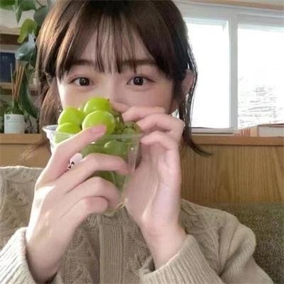 万物生灵：2022圣诞特别集